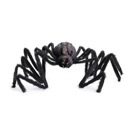 Aranha Casulo
