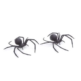 Aranha Camboja