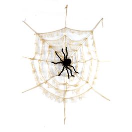 Teia com Aranha Branca