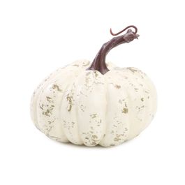 Abóbora Respingo Creme G