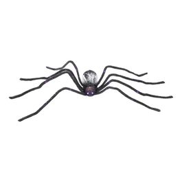 Aranha Aradia