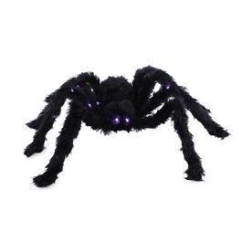Aranha Cobalt