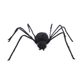 Aranha Golias