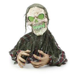 Caveira Adamo