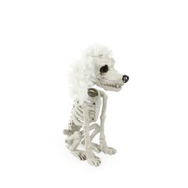 Esqueleto Cachorro Poodle