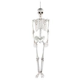 Esqueto Jack 180cm
