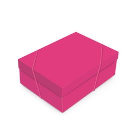 Caixa Retangular Com Tampa Pink Core Pink
