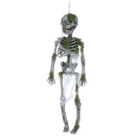 Esqueleto Musgo Augustus 40cm