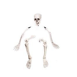 Esqueleto para Jardim