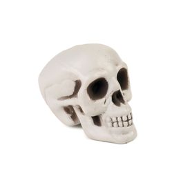 Crânio Grover 6cm