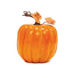 Abóbora Moranga com Folhas