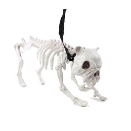Esqueleto de Cachorro Buldogue