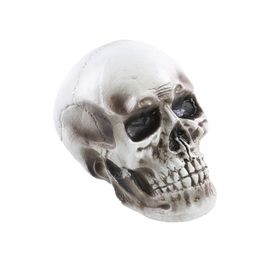 Crânio Rider 24cm