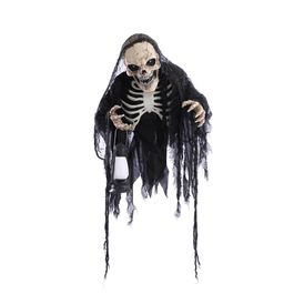 Caveira Toddy de Porta