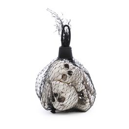 Kit Esqueleto Kael c/ 12 peças