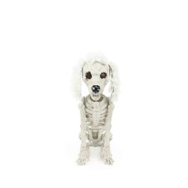 Esqueleto Cachorro Poodle