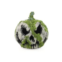 Abóbora Musgo 21cm