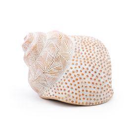 Decorativo Caracol Resina Palha