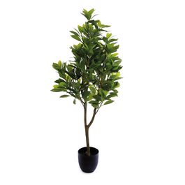 Ficus Com Vaso Ferro Verde
