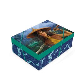 Cx Retangular com Tampa Raya Colorido