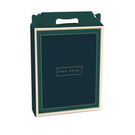 Caixa Maleta Retangular Vertical James Colorido