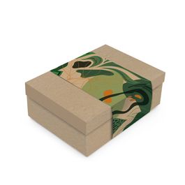 Caixa Retangular Com Tampa Com Cinta Forest Colorido
