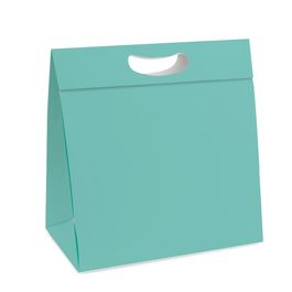 Caixa New Plus Aqua Turquesa