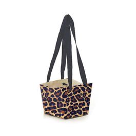 Caixa Gift Felina Colorido