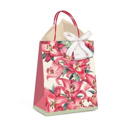 Kit Presente Sacola Ruby Colorido