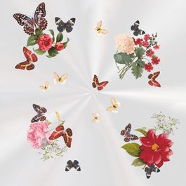 Poli Quadrado Ágata Colorido PT C/50