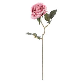 Rosa Solitaria Ros/Vrd (Flor/Gal Perman) C/1 UN