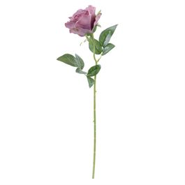 Peonia Solitaria Rxo/Vrd (Flor/Gal Perman) C/1 UN