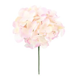 Hortensia C/Haste Roc/Vrd (Flor/Gal Perman) C/1 UN