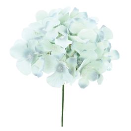 Hortensia C/Haste Vdc/Vrd (Flor/Gal Perman) C/1 UN