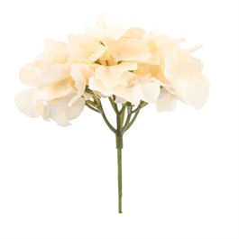 Hortensia C/Haste Cha/Vrd (Flor/Gal Perman) C/1 UN