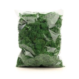 Musgo Decorativo 250g - Verde Escuro (Musgo Preservado)