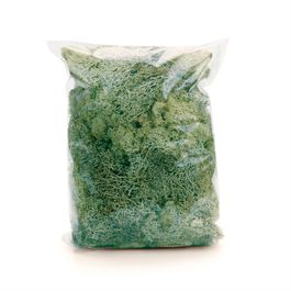 Musgo Decorativo 250g - Verde Claro (Musgo Preservado)