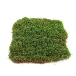 Placa Decorativa de Grama Artificial - Verde (Rustic)