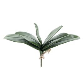 PICK DE FOLHAS DE ORQUÍDEA X6 30 CM - VERDE