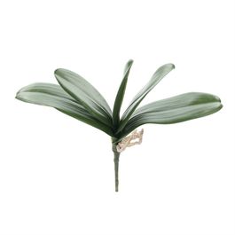 PICK DE FOLHAS DE ORQUÍDEA X5 30 CM - VERDE