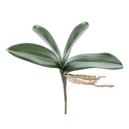 PICK DE FOLHAS DE ORQUÍDEA X4 28 CM - VERDE