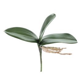 PICK DE FOLHAS DE ORQUÍDEA X3 28 CM - VERDE