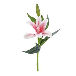 HASTE DE LÍRIO X1 39 CM - ROSA