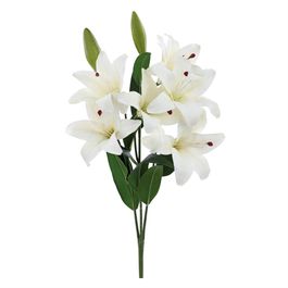 BUQUÊ DE LÍRIOS X6 60 CM - BRANCO