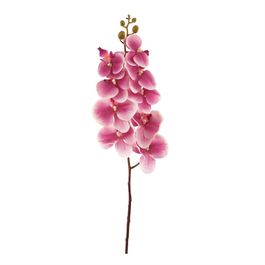 HASTE DE ORQUÍDEA X9 95 CM - ROXO
