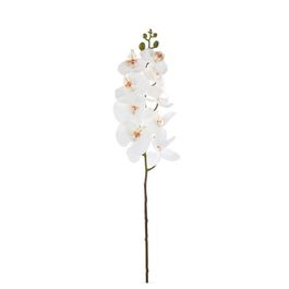 HASTE DE ORQUÍDEA X9 95 CM - BRANCO