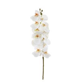 HASTE DE ORQUÍDEA X12 75 CM - BRANCO