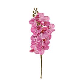 HASTE DE ORQUÍDEA X12 75 CM - PINK
