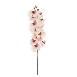 HASTE DE ORQUÍDEA X12 75 CM - BEGE