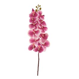 HASTE DE ORQUÍDEA X12 75 CM - ROXO